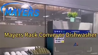 Lavavajillas con transportador de racks